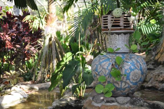 Jardim Botânico de Nevis - Caribe